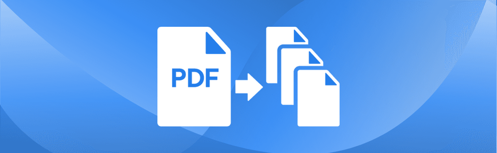 Split PDFs online using pdfAssistant